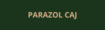 parazol.thecheapdeals.shop